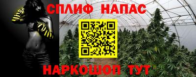 спиды Бузулук