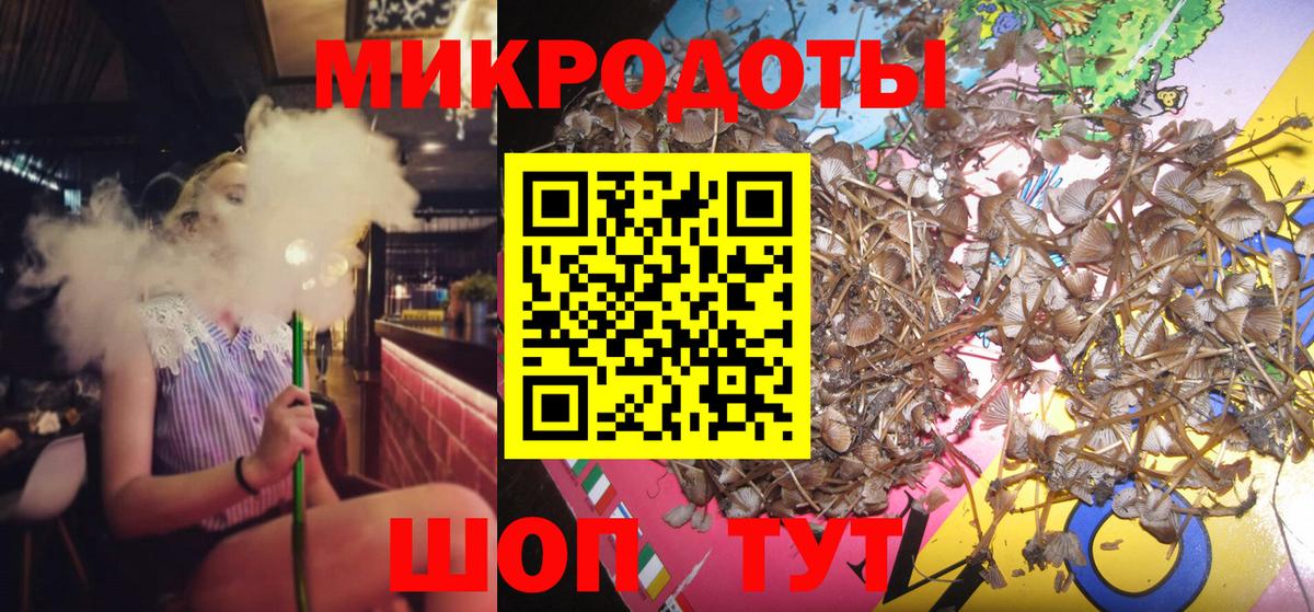 Киржач  Галлюциногенные грибы Psilocybe  Галлюциногенные грибы Psilocybine cubensis  Вход с VPN 